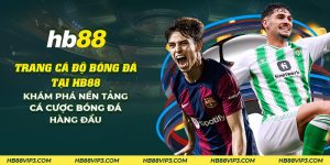 20 trang ca do bong da tai hb88 kham pha nen tang ca cuoc bong da hang dau 1